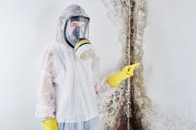 Best Industrial Mold Remediation  in St Andrews, SC